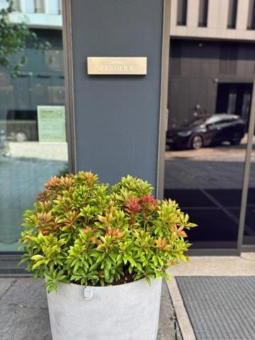 Hotel Zander K Hotel 4*